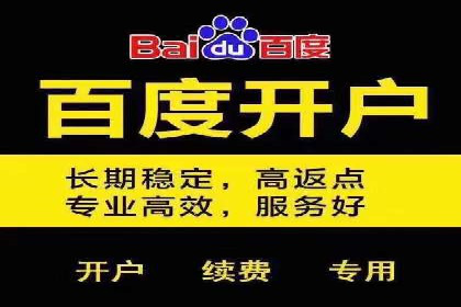 百度竞价费用分析，案例启示录